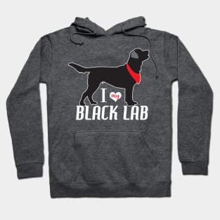 Black Lab Pattern in Blue Black Labs with Hearts Dog Patterns Hoodie